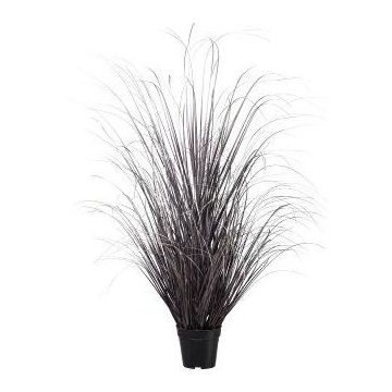 Dekorativt gräs, starr TAVRE, lila-silver, 120cm