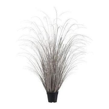 Dekorativt gräs, starr TAVRE, champagne, 120cm