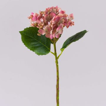 Konstgjord hortensia MYNMAR, rosa-krämfärgad, 35cm, Ø14cm Konstgjord hortensia MYNMAR, rosa-krämfärgad, 35cm, Ø14cm