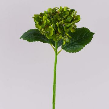Konstgjord hortensia MYNMAR, grön, 35cm, Ø14cm Konstgjord hortensia MYNMAR, grön, 35cm, Ø14cm