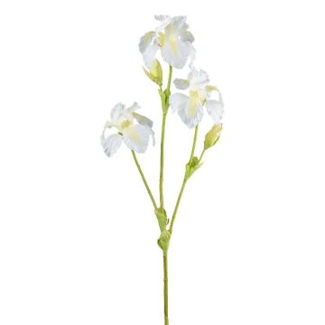 Dekorativ irisgren KLAVO, vit, 80cm Dekorativ irisgren KLAVO, vit, 80cm