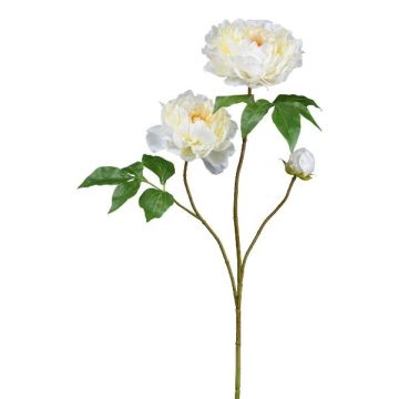 Konstgjord blomstergren med pion BROLI, krämfärgad, 80cm