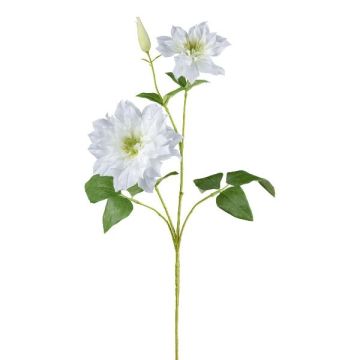 Konstgjord blomstergren, klematis ZOLME, vit, 70cm Konstgjord blomstergren, klematis ZOLME, vit, 70cm
