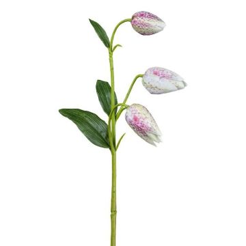 Konstgjord blomma, schackbrädesblomma FRENT, rosa-vit, 55cm Konstgjord blomma, schackbrädesblomma FRENT, rosa-vit, 55cm