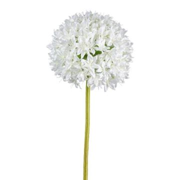 Konstgjord blomma Allium KLATE, vit, 90cm, Ø15cm Konstgjord blomma Allium KLATE, vit, 90cm, Ø15cm