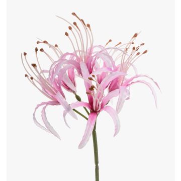 Konstgjord trädgårdsamaryllis NANFAJI, rosa, 65cm Konstgjord trädgårdsamaryllis NANFAJI, rosa, 65cm
