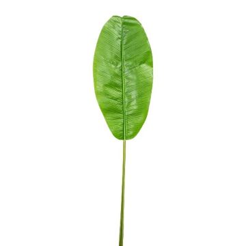 Konstblad banan GUINO, grönt, 130cm