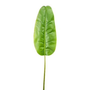Konstblad banan GUINO, grönt, 145cm
