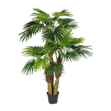 Konstgjord palm Washingtonia URSUL, 185cm Konstgjord palm Washingtonia URSUL, 185cm