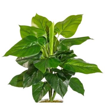 Konstgjord växt Philodendron Scandens GIMPA, stödpinne, 50cm Konstgjord växt Philodendron Scandens GIMPA, stödpinne, 50cm