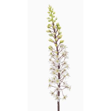 Konstgjord blomma steppljus SCHENRA, vit-grön, 95cm Konstgjord blomma steppljus SCHENRA, vit-grön, 95cm