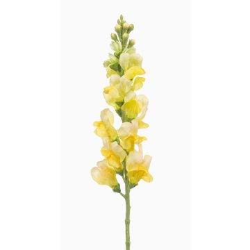 Konstblomma lejonmun DAENERYS, gul, 80cm Konstblomma lejonmun DAENERYS, gul, 80cm