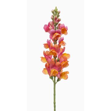 Konstblomma lejonmun DAENERYS, rosa-orange, 80cm Konstblomma lejonmun DAENERYS, rosa-orange, 80cm