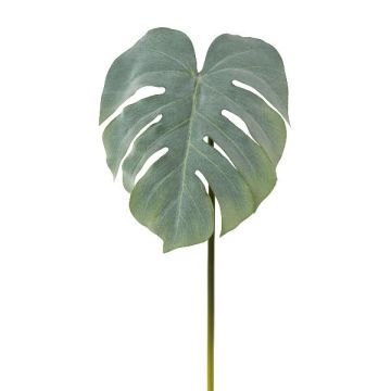 Konstblad Philodendron Monstera Deliciosa MELIAT, grön-grå, 80cm Konstblad Philodendron Monstera Deliciosa MELIAT, grön-grå, 80cm