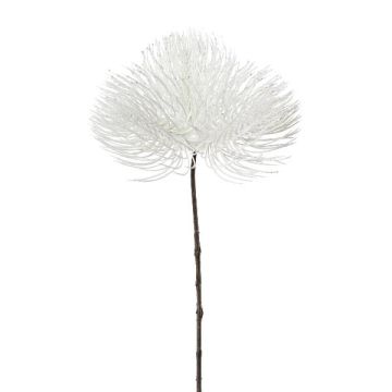 Dekorativ gren av pinje KLANTE, vit, 50cm