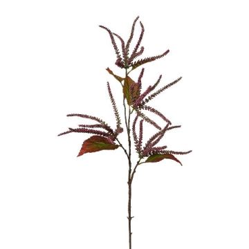 Dekorativ gren Amaranth SLUHON, violett, 85cm Dekorativ gren Amaranth SLUHON, violett, 85cm