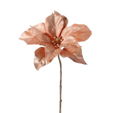 Artificiell julstjärna SHEBA, rosé, 55cm, Ø21cm Artificiell julstjärna SHEBA, rosé, 55cm, Ø21cm
