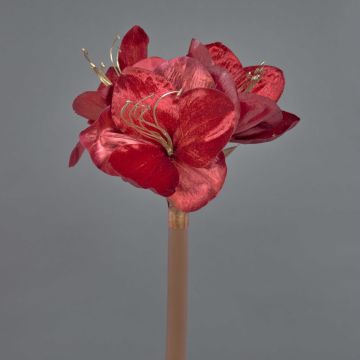 Sammet Amaryllis konstblomma KIRSTY, röd, 70cm, Ø13-15cm Sammet Amaryllis konstblomma KIRSTY, röd, 70cm, Ø13-15cm