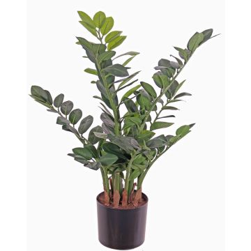 Konstgjord Zamioculcas JANGOLIE, 70cm Konstgjord Zamioculcas JANGOLIE, 70cm