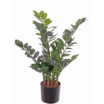 Konstgjord Zamioculcas JANGOLIE, 70cm