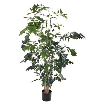 Konstgjord fiskstjärtpalm JASNA, 190cm Konstgjord fiskstjärtpalm JASNA, 190cm