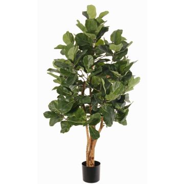 Konstgjord fikusträd Ficus lyrata TUNGA, naturstammar, grön, 150cm
