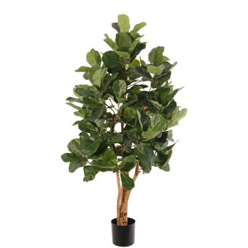 Konstgjord fikusträd Ficus lyrata TUNGA, naturstammar, grön, 150cm