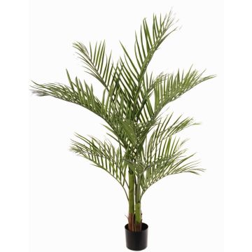 Konstgjord arecapalm JUMBOLINO, 150cm Konstgjord arecapalm JUMBOLINO, 150cm