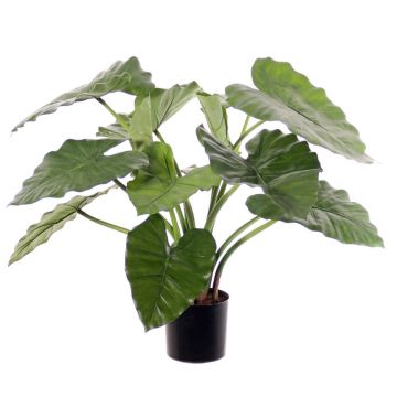 Konstväxt Alocasia Calidora YONCE, grön, 60cm Konstväxt Alocasia Calidora YONCE, grön, 60cm
