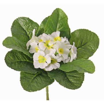 Konstgjord primula SUNDARA på stödpinne, vit, 20cm, Ø4cm Konstgjord primula SUNDARA på stödpinne, vit, 20cm, Ø4cm