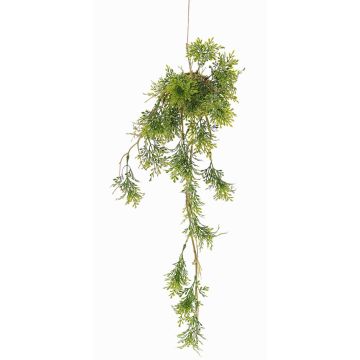 Konstgjord rosmarin, hängande IOANNIS på mossboll, grön, 60cm Konstgjord rosmarin, hängande IOANNIS på mossboll, grön, 60cm