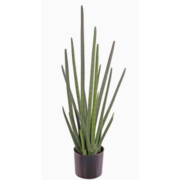 Konstgjord Sansevieria Cylindrica ASTARIA, grön, 95cm Konstgjord Sansevieria Cylindrica ASTARIA, grön, 95cm