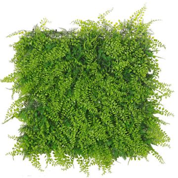 Konstgjord ormbunke- och cypresshäck/matta DIANTA, crossdoor, 50x50cm Konstgjord ormbunke- och cypresshäck/matta DIANTA, crossdoor, 50x50cm
