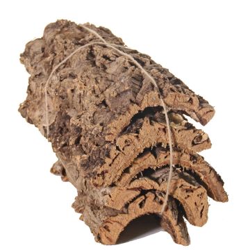Naturkorkbarkbitar DIANTHA, 5 stycken, brun, 50x25cm