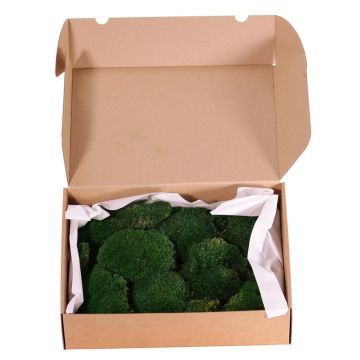 Äkta plattmossa DIMITRA, grön, 800g, 0,15 m²