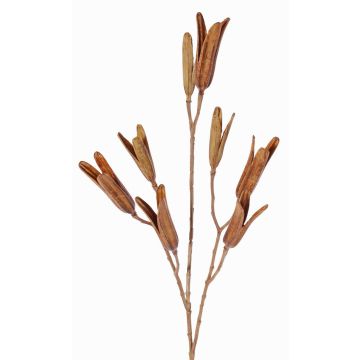 Gren av liljefrön i plast ELFIDA, brun, 80cm, Ø2-3cm
