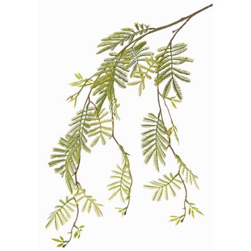Konstgjord mimosagren ELPIDA, grön, 110cm Konstgjord mimosagren ELPIDA, grön, 110cm