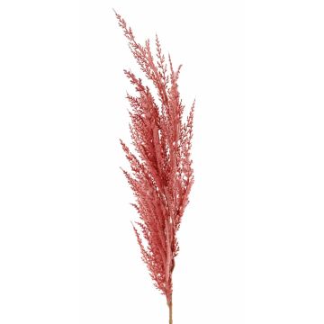Konstgjord gren med pampasgräs, ERATO, rosa, 100cm