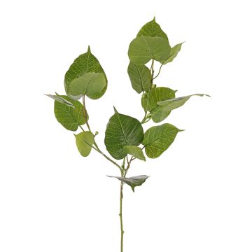 Konstgjord Ficus religiosa-gren IRELIA, frukter, grön, 80cm Konstgjord Ficus religiosa-gren IRELIA, frukter, grön, 80cm