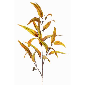 Textil-eukalyptusgren EUSEBIOS, gul-orange, 100cm