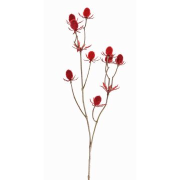 Dekorativ kvist av ädelkard LOUKAS, röd, 45cm, Ø1-1,5cm Dekorativ kvist av ädelkard LOUKAS, röd, 45cm, Ø1-1,5cm