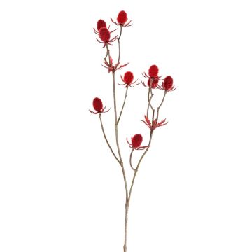 Dekorativ kvist av ädelkard LOUKAS, röd, 45cm, Ø1-1,5cm Dekorativ kvist av ädelkard LOUKAS, röd, 45cm, Ø1-1,5cm
