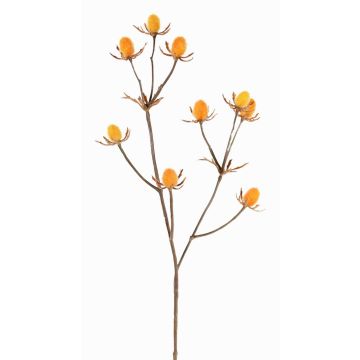 Dekorativ kvist av ädelkard LOUKAS, gul-orange, 45cm, Ø1-1,5cm Dekorativ kvist av ädelkard LOUKAS, gul-orange, 45cm, Ø1-1,5cm
