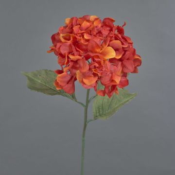 Konstblomma hortensia URANIA, torkad look, orange-röd, 75cm, Ø20cm