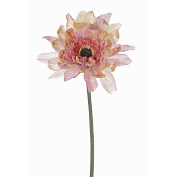 Konstblomma gerbera PAMILLA, gammaldagsrosa-kräm, antikrosa-krämfärgad, 65cm, Ø12cm