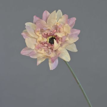 Konstblomma gerbera PAMILLA, gammaldagsrosa-kräm, antikrosa-krämfärgad, 65cm, Ø12cm