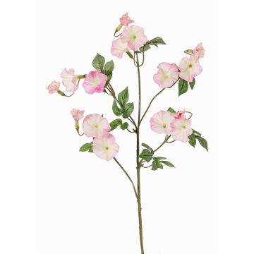 Konstgjord trichterblomma, gren IORDANIS, rosa-vit, 80cm, Ø3-5,5cm Konstgjord trichterblomma, gren IORDANIS, rosa-vit, 80cm, Ø3-5,5cm