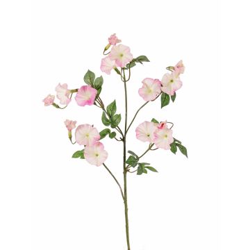 Konstgjord trichterblomma, gren IORDANIS, rosa-vit, 80cm, Ø3-5,5cm Konstgjord trichterblomma, gren IORDANIS, rosa-vit, 80cm, Ø3-5,5cm