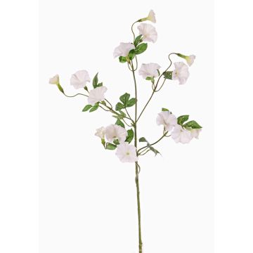 Konstgjord trichterblomma, gren IORDANIS, vit, 80cm, Ø3-5,5cm Konstgjord trichterblomma, gren IORDANIS, vit, 80cm, Ø3-5,5cm