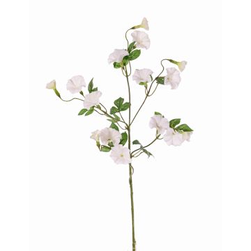 Konstgjord trichterblomma, gren IORDANIS, vit, 80cm, Ø3-5,5cm Konstgjord trichterblomma, gren IORDANIS, vit, 80cm, Ø3-5,5cm